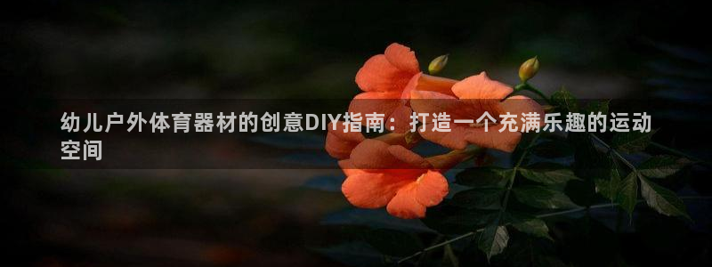 极悦平台官网入口网站:幼儿户外体育器材的创意DIY指南:打造