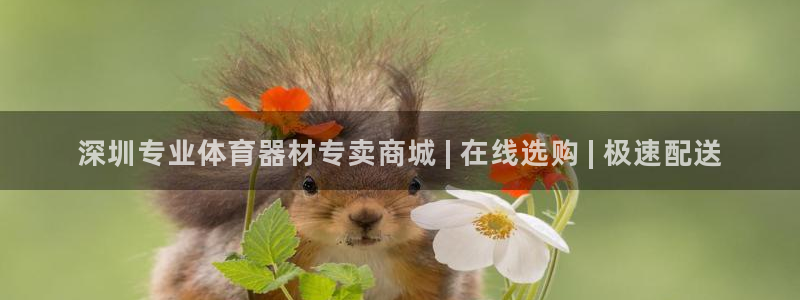 极悦官方网站:深圳专业体育器材专卖商城 | 在线选购 | 极