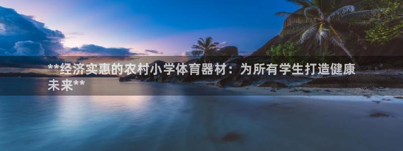 极悦平台官方网站入口下载:**经济实惠的农村小学体育器材:为