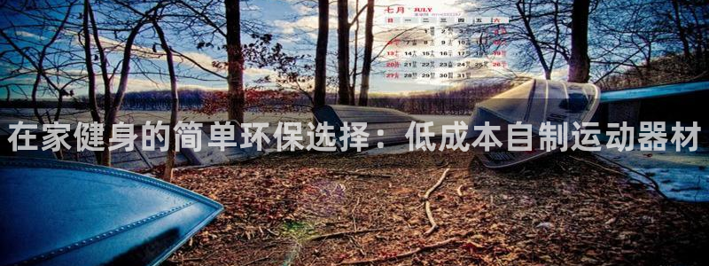 极悦平台官方网站登录:在家健身的简单环保选择:低成本自制运动