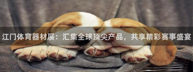 极悦平台用户评价在哪里看:江门体育器材展:汇集全球顶尖产品,
