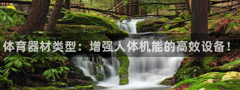 极悦官网:体育器材类型:增强人体机能的高效设备!